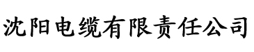 深田咏美genm电缆厂logo